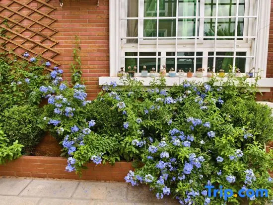 Yihuaxuanting Homestay (Kunming Dianchi Haitang Dam)