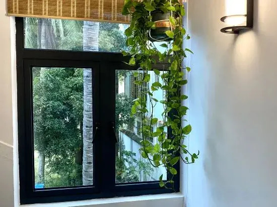Lucky No.6 Tropical Garden