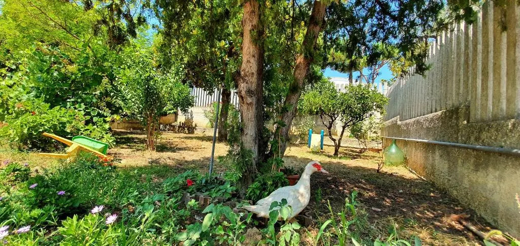 Villa nella collina Francavillese