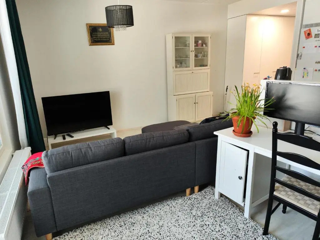 Cosy and spacious 1 bedroom apartment in Espoo