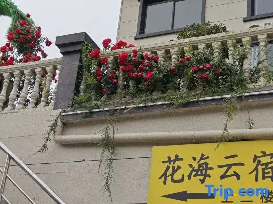 Yuanyang Sea of Flowers Yunsu (Yuanyang Jiaxiao)
