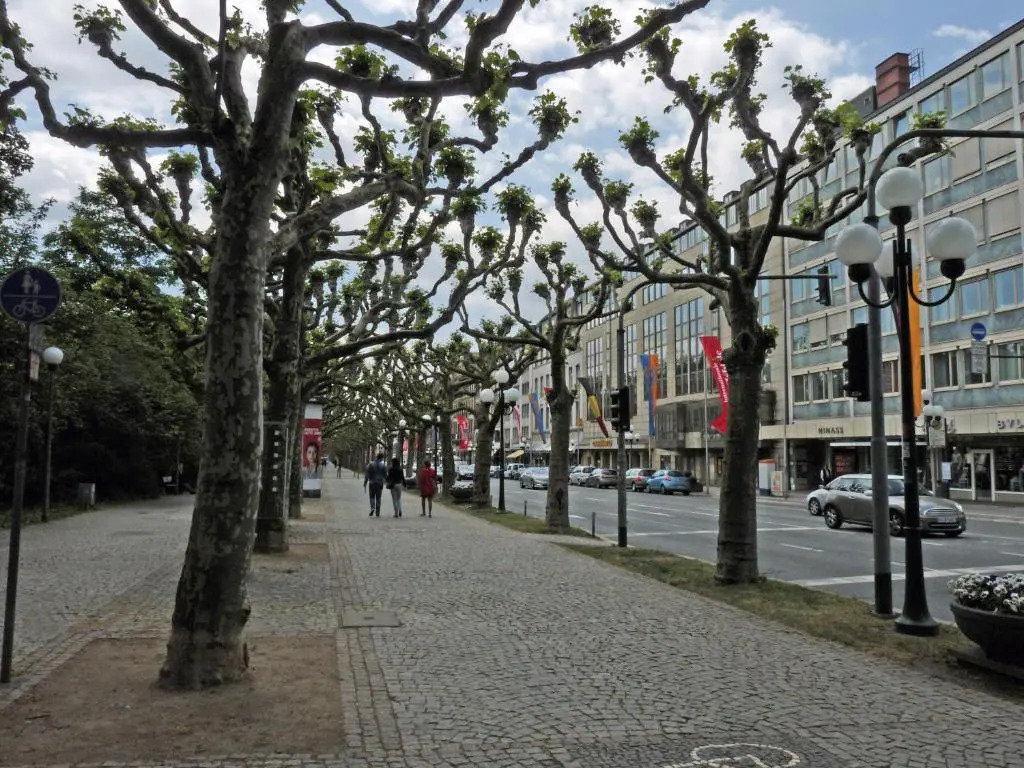 Ferienwohnung-Wiesbaden-Top3 (Adults Only)