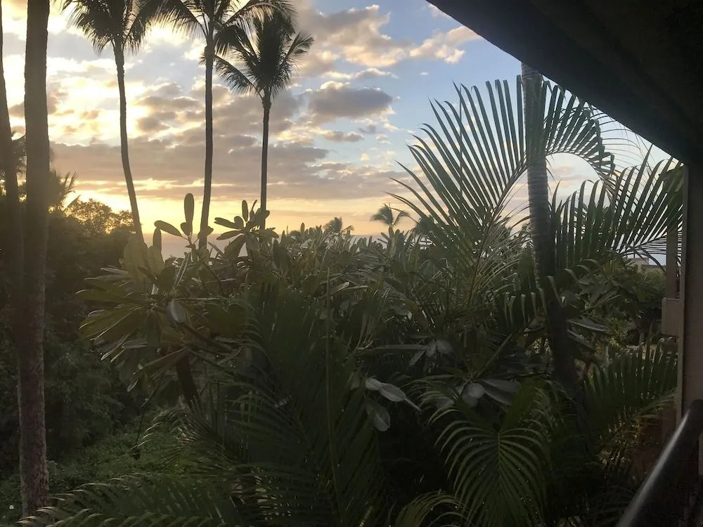 Wailea Ekolu 1606 - 2 Br Condo