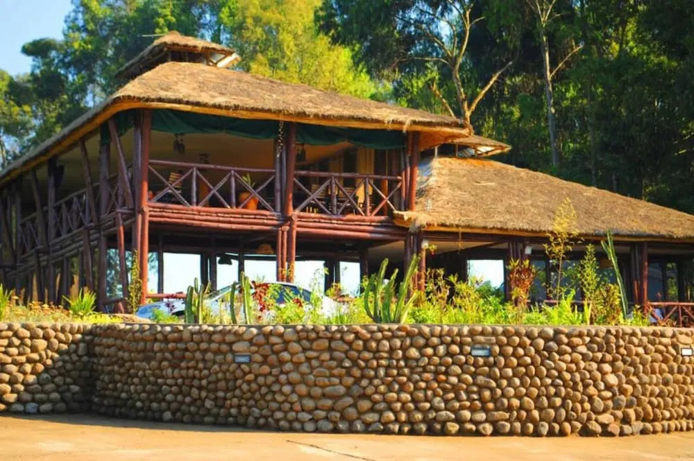 Da Vinci Gorilla Lodge