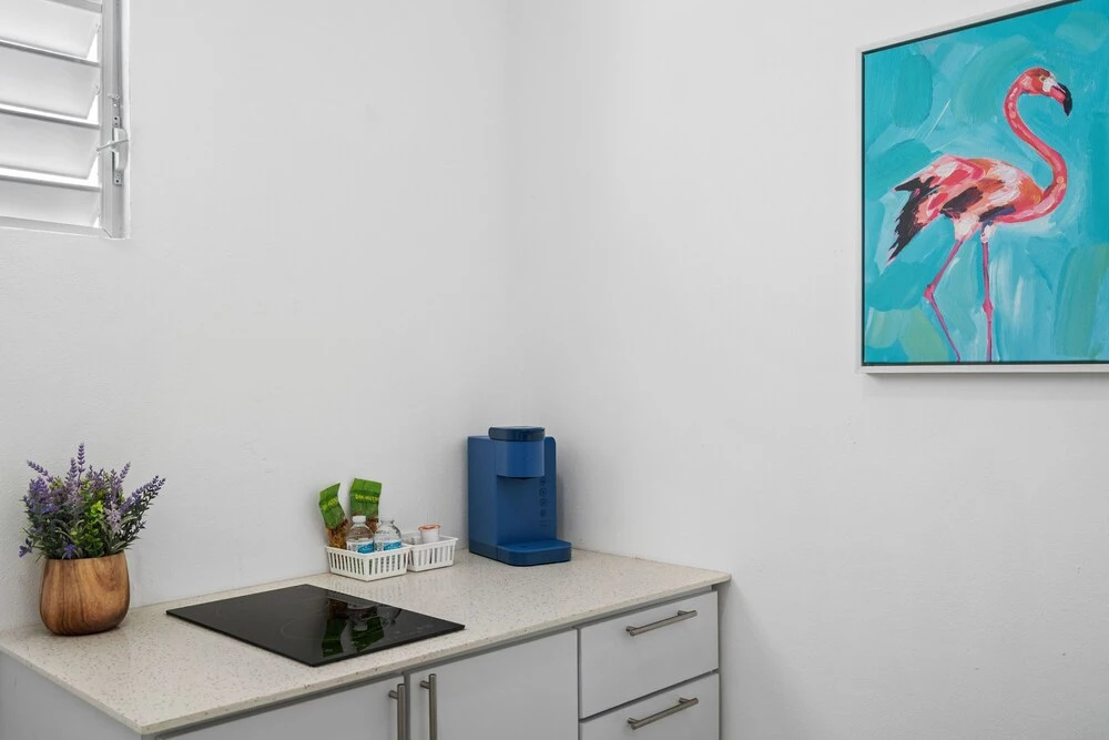 Otium Rentals San Juan City Apartment w Basketball Arcade