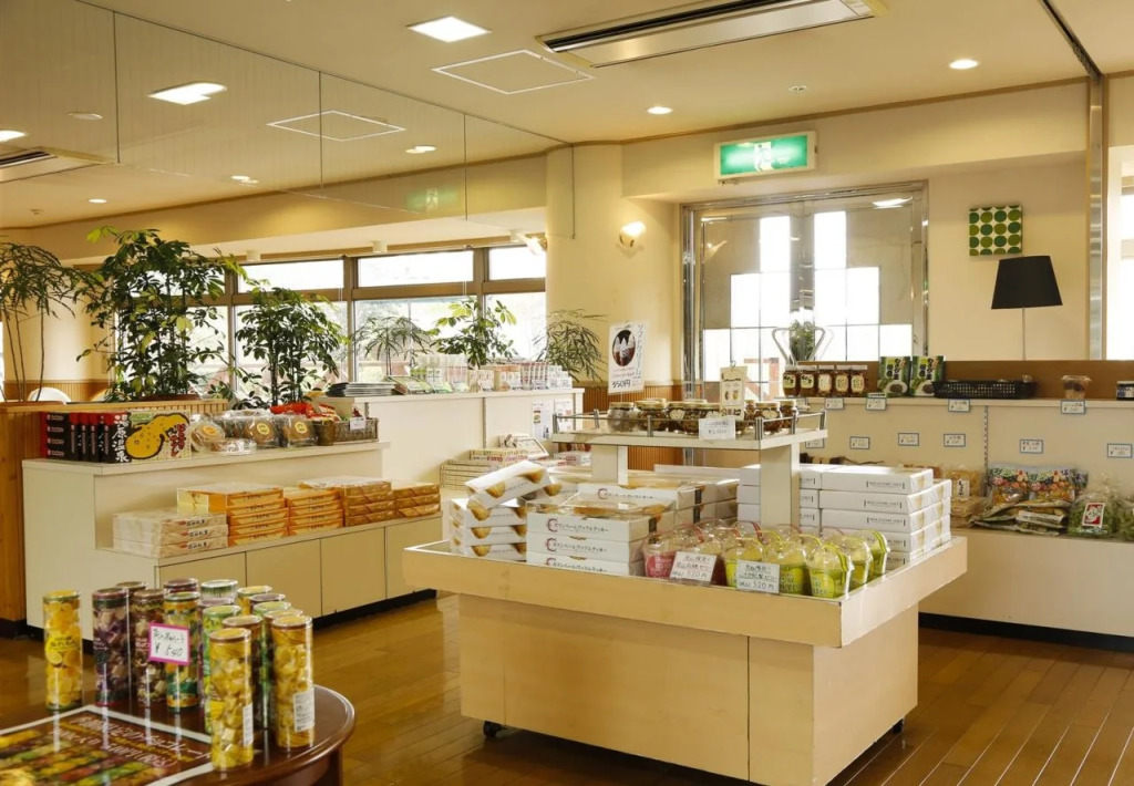 Hotel Hiruzen Hills