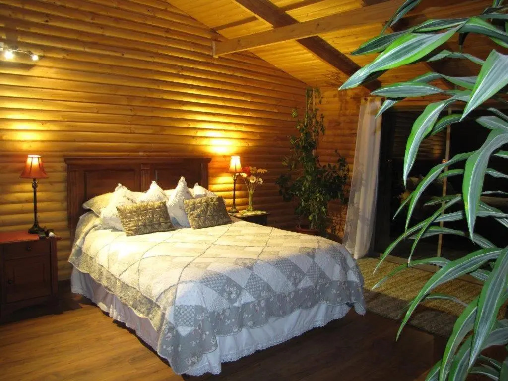 B&B Shambala HN