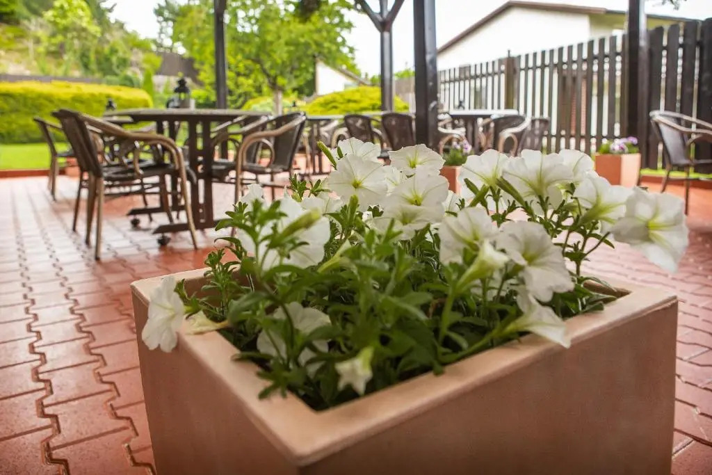 Hotel El Greco