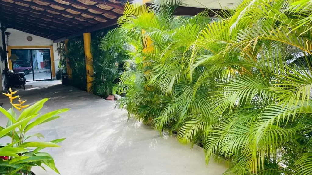 Hospedaje Ixaya