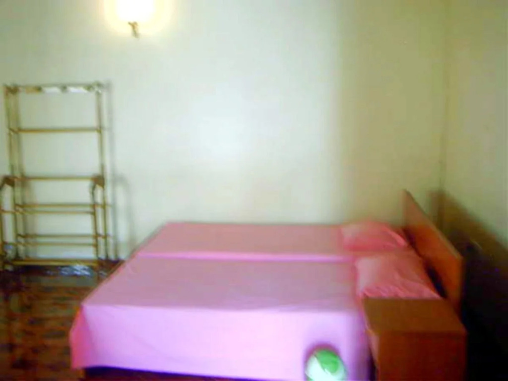 The White Nest