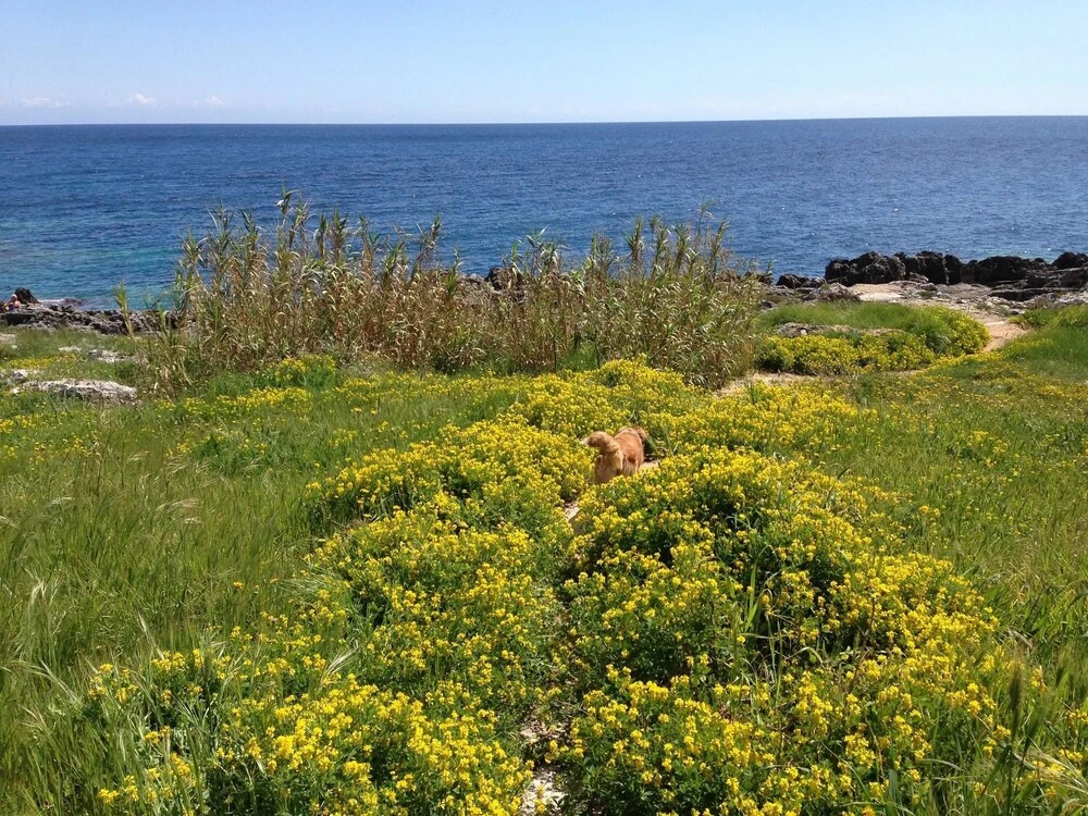 Apartment With 2 Bedrooms in Marina Serra di Tricase, With Wonderful s