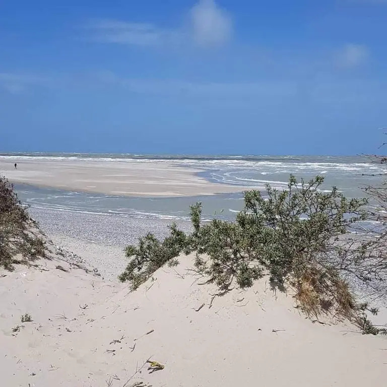 Un p'tit nid au Paradis