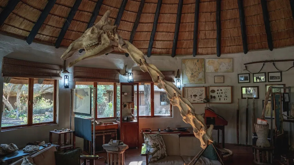 Mashatu Lodge