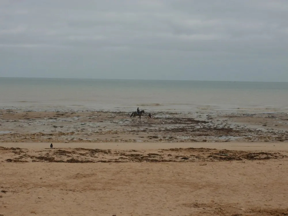 Le Relais du Cap Romain