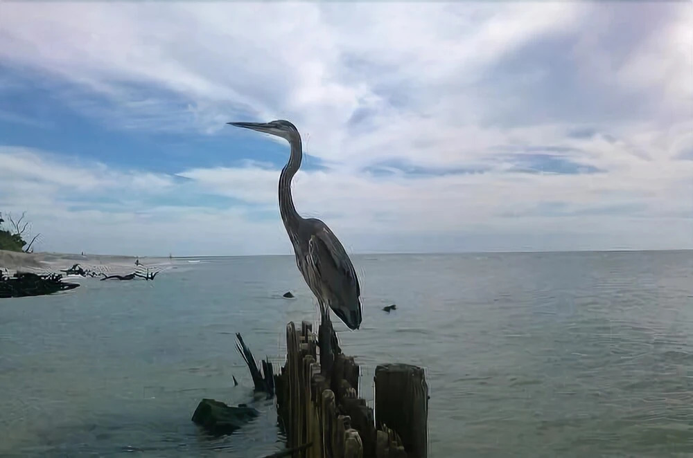 Sanibel Siesta on the Beach Unit 304 2 Bedrooms 2 Bathrooms Condo