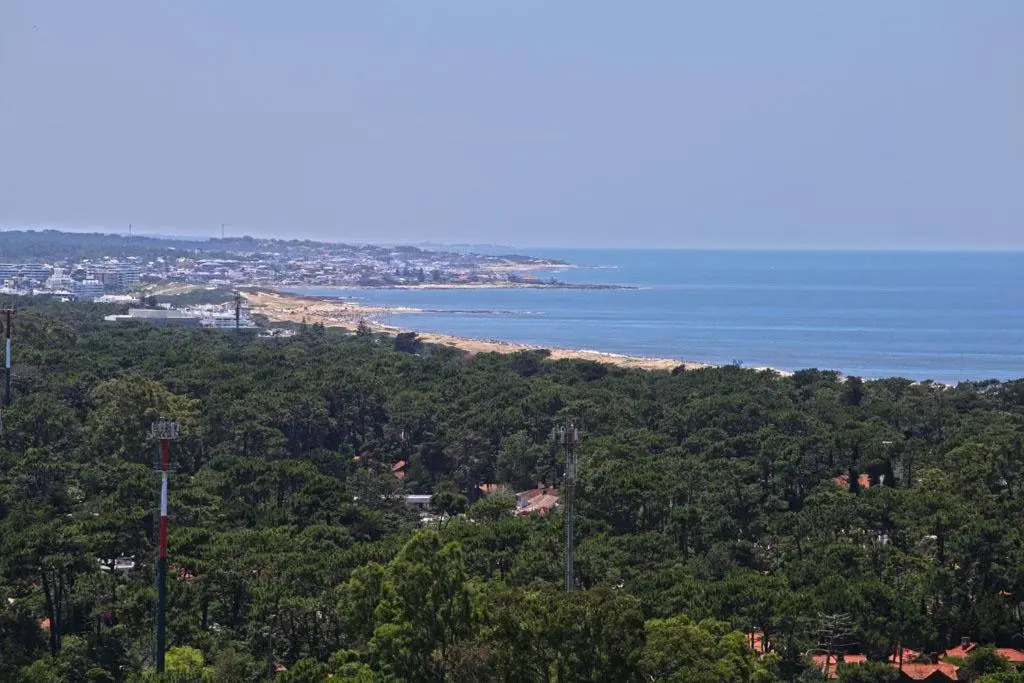 Gala Vista