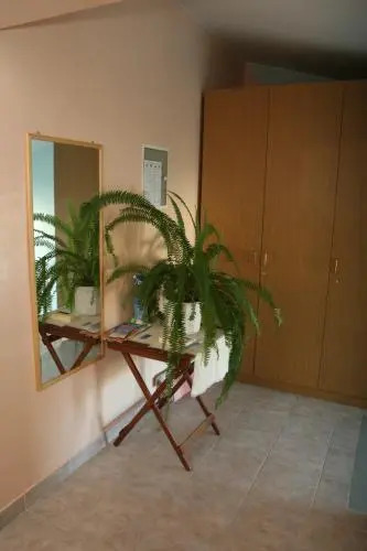 Deluxe Apartment Toni