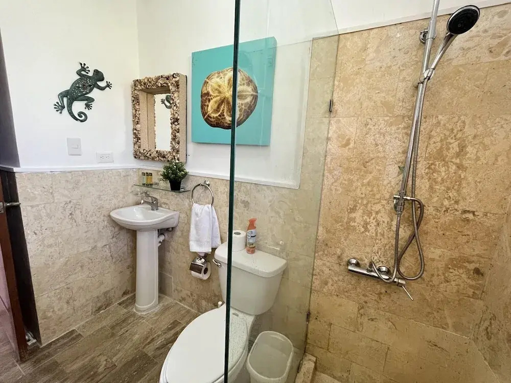 Beauty Apartment With Private Picuzzi Playa Bavaro