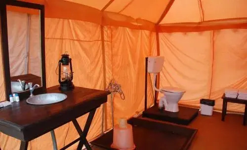 Camp Paradise
