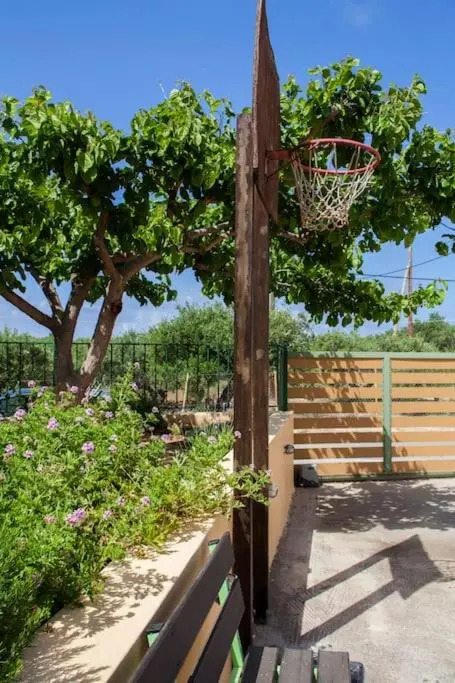 Olive grove with sea view, 20' walk to the beach