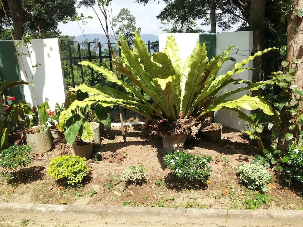 Elkaduwa Bungalow