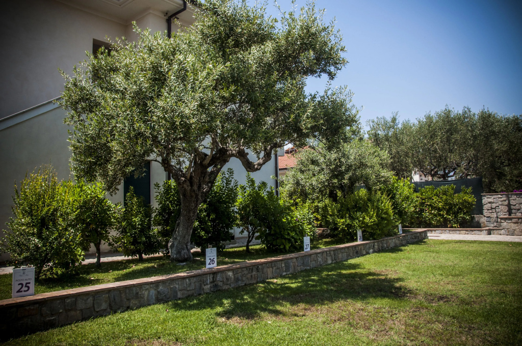Residence Oliveto a Mare