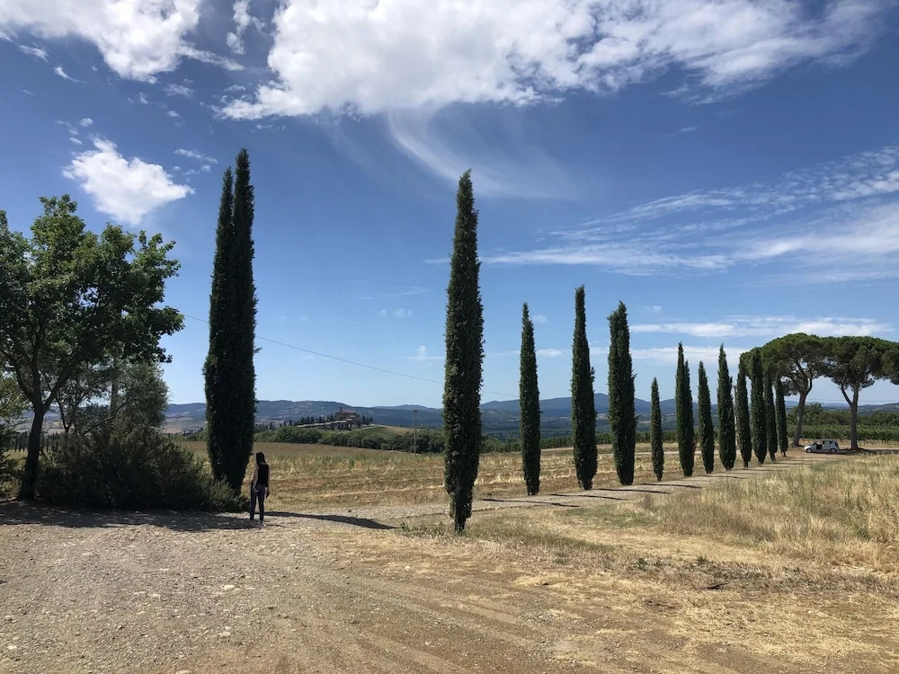Villa del Fattore