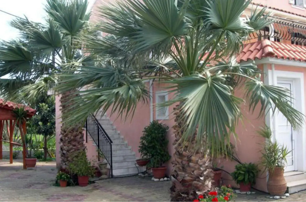 Katerina Studios