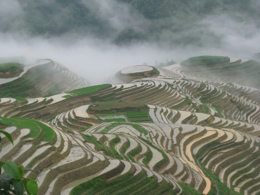 Yangshuo Mountain Nest Boutique Hotel
