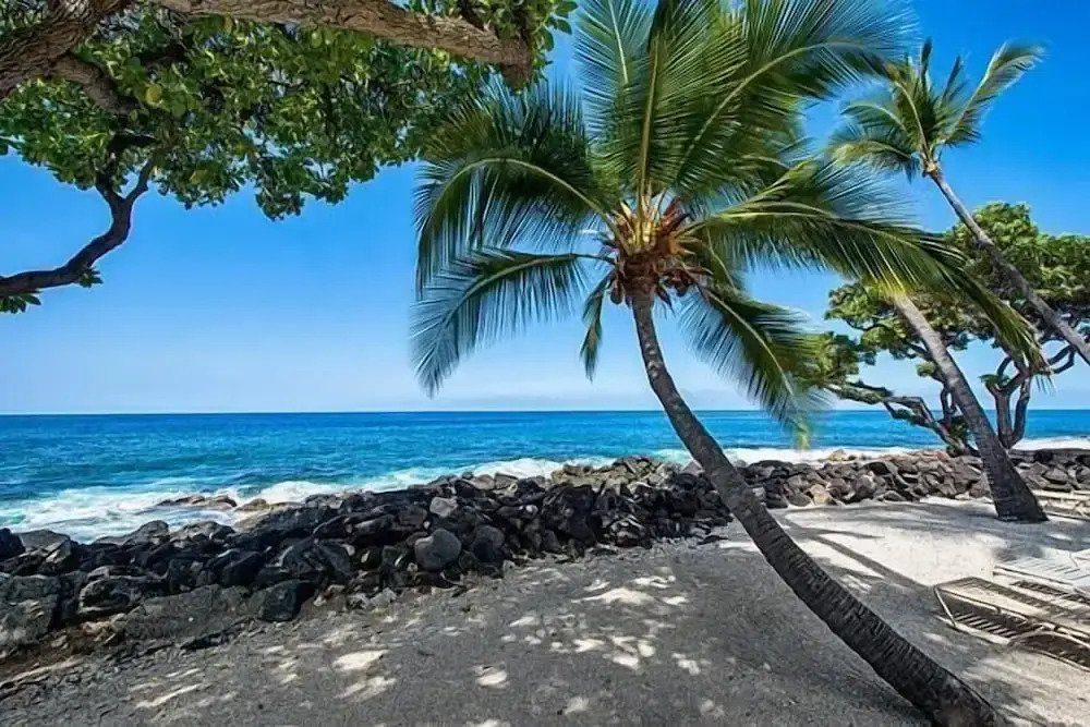 Kona Isle C24