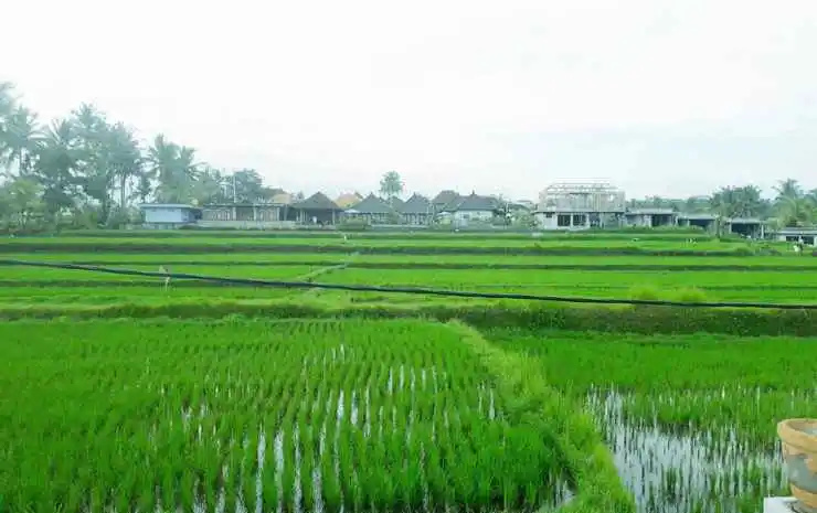 Tantra House Ubud
