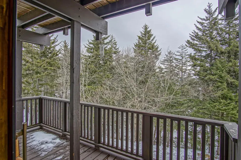 Whistlepunk #11: 2 Bedroom, 2 Bath: Wood Fireplace.central Location