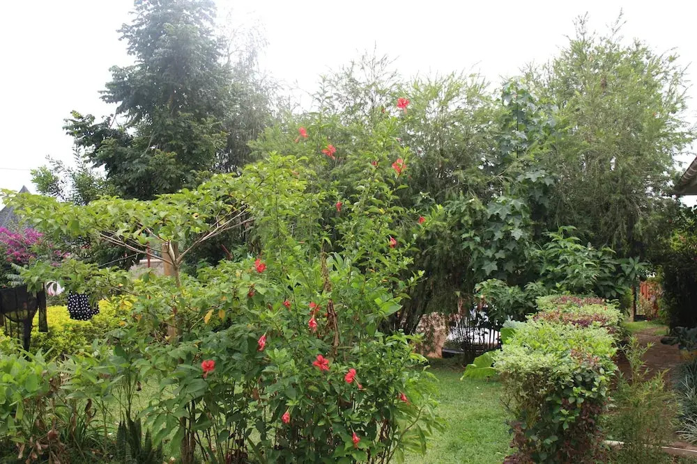 Kibale Eco-Home
