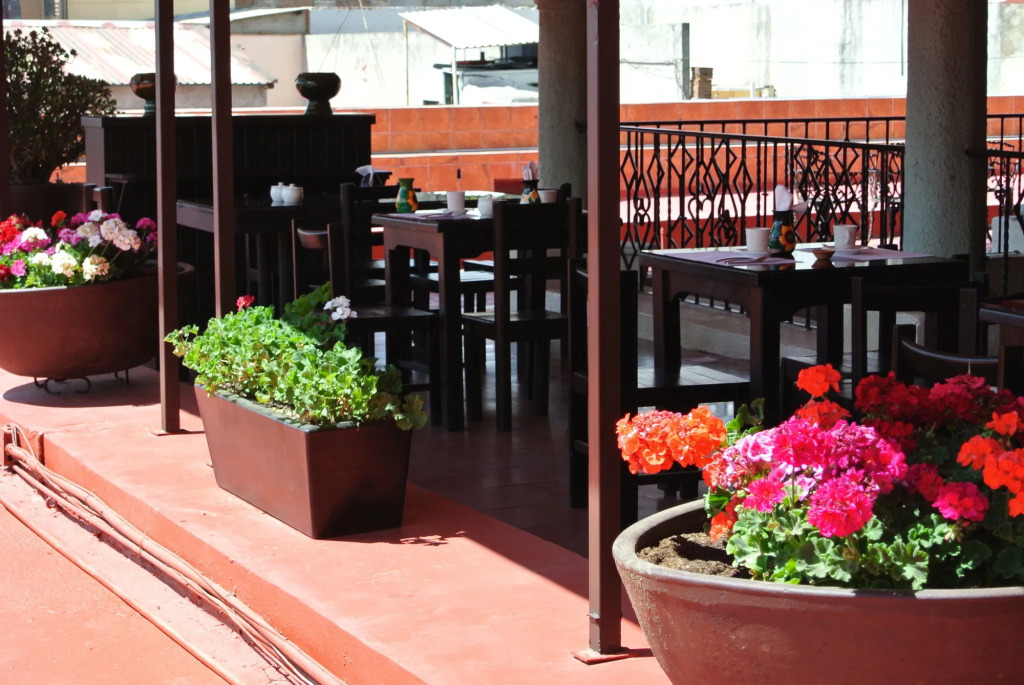 Hotel Anua Oaxaca