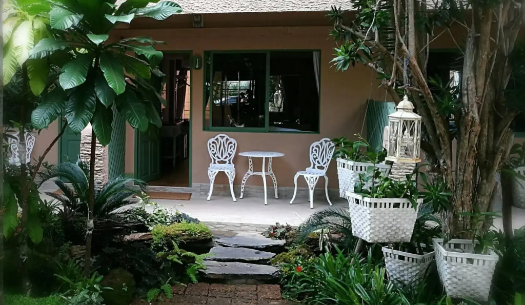 Tree Touch Pattaya