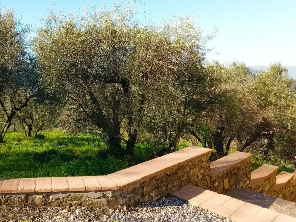 Holiday Home Villa Garibaldino by Interhome