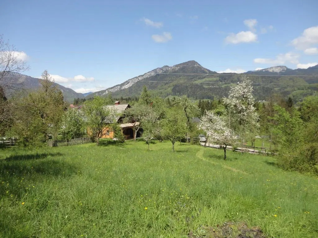 Chalet Ramsau 8