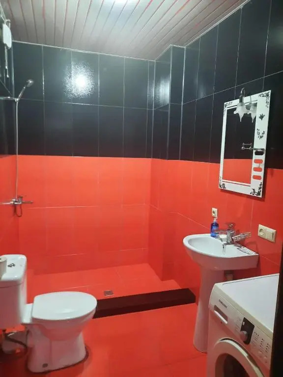 Pushkini street apartament