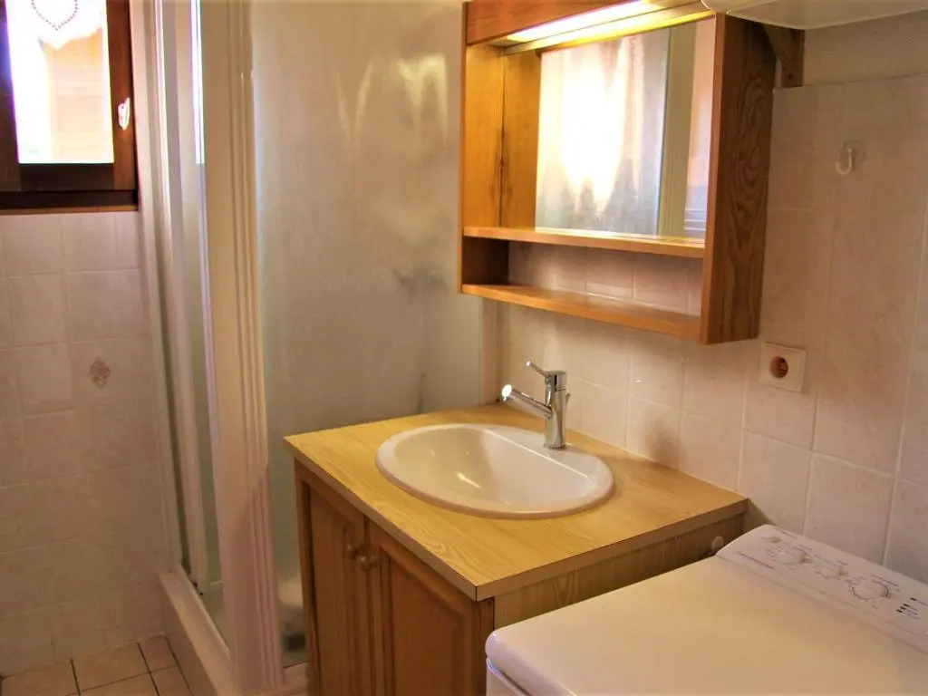 Appartement Saint-Jean-de-Sixt, 2 pièces, 4 personnes - FR-1-459-165