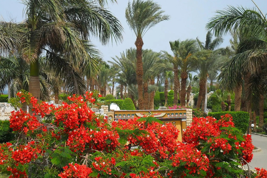 Jasmine Village