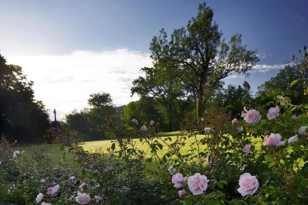 The Music Country House con Jacuzzi nel parco - Natura e relax sui Colli Asolani