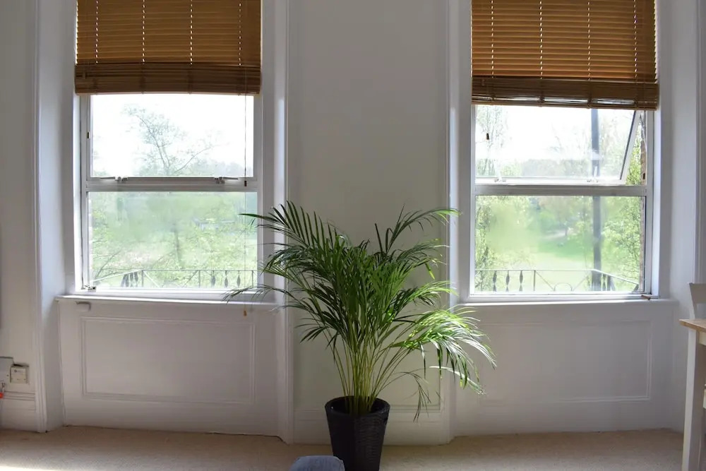 1 Bedroom Flat Next To Finsbury Park