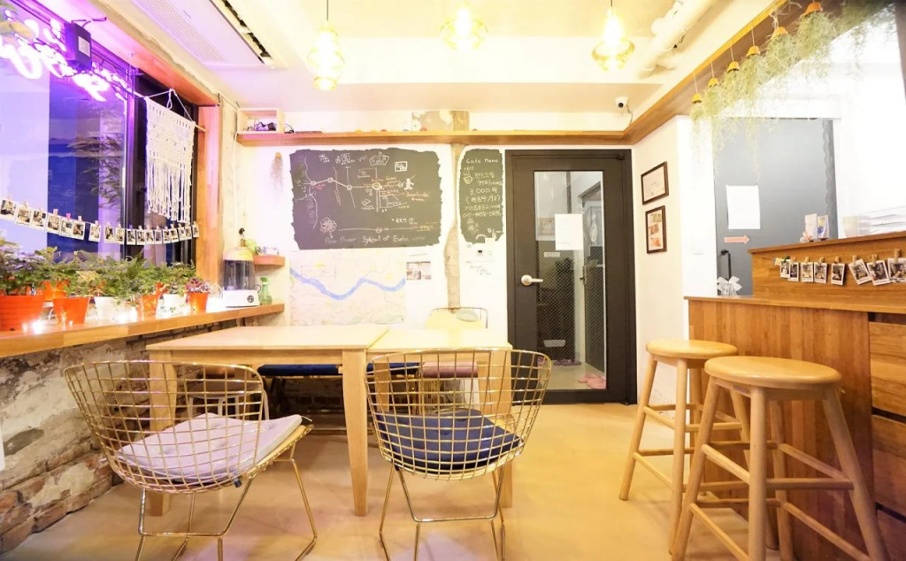 Seoulcube Ewha -Female only