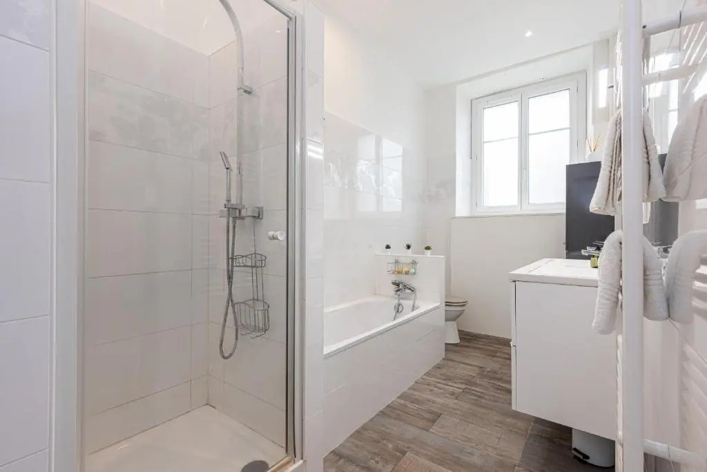 Jean Medecin Av - Large 2 Bdrs Central AC
