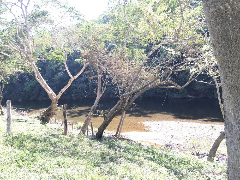 Mango Walk Inn