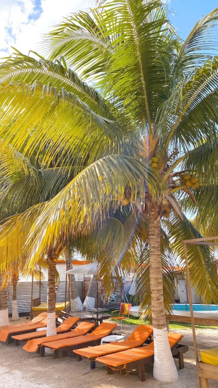 Cabañas Frida