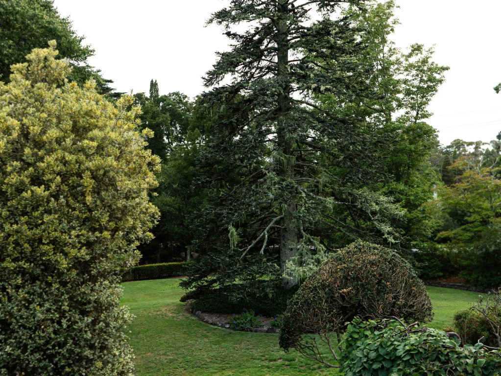 Comfort Resort Leura Gardens
