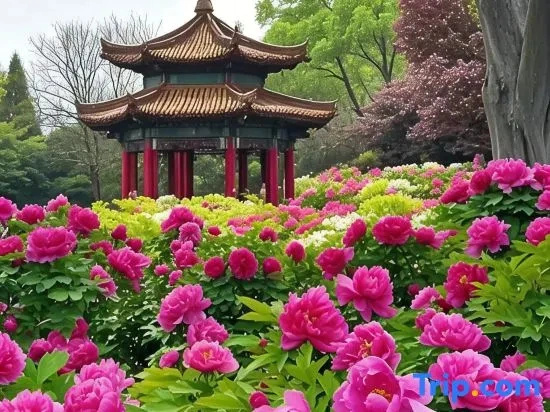 Luoyang Ruilai Yuelv Hotel