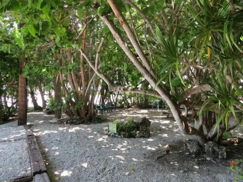 Ed & Ellens Lodging Key largo