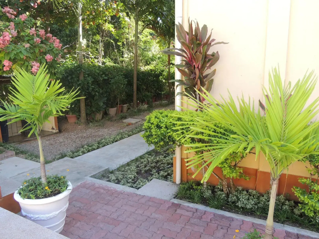Reef Holiday Apartments